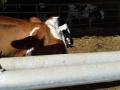 20140606_103614.jpg